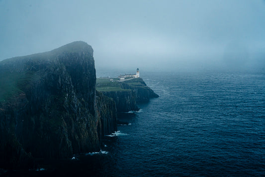 Stormwood
