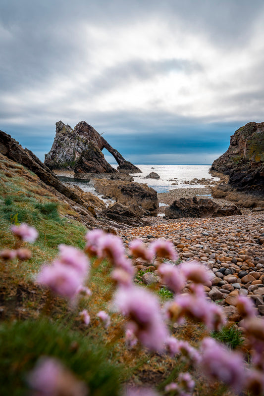 Heather Blush Tide